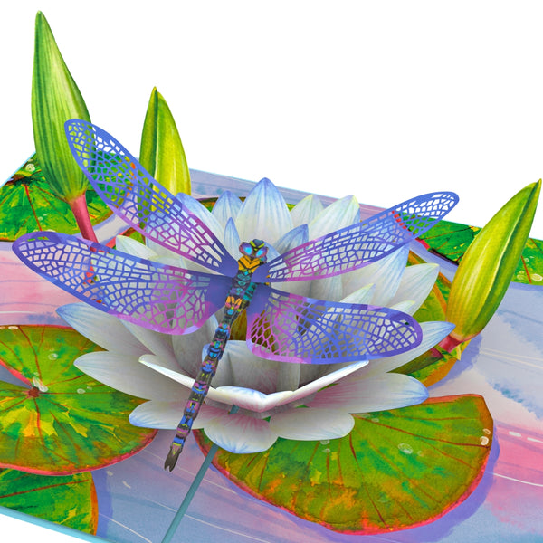 Dragonfly on Lotus
