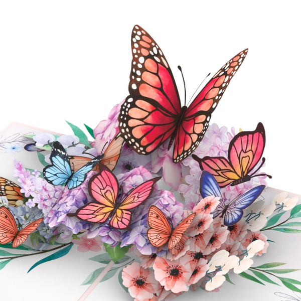 Butterflies and Flowers