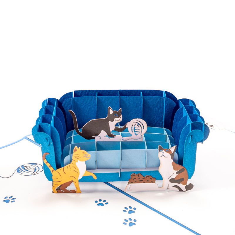 Cat & Sofa